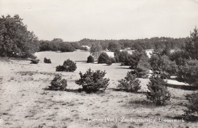 LOENEN (Vel.) - Zandverstuiving Loenermark