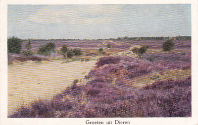 DIEREN - Heide, Groeten uit Dieren