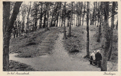 DRIEBERGEN - In het Acaciabosch