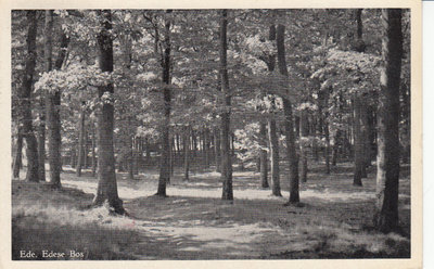 EDE - Edese Bos