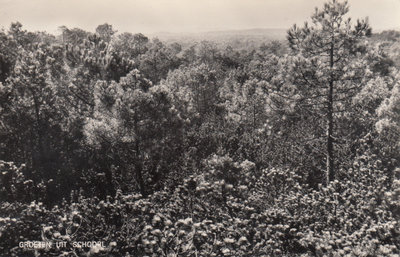 SCHOORL - Duinen Groeten uit Schoorl