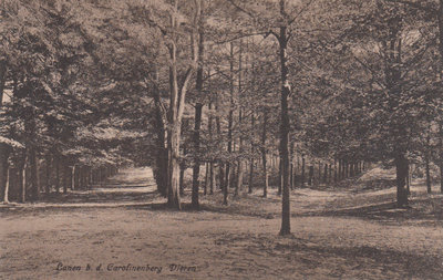 DIEREN - Lanen bij de Carolinenberg