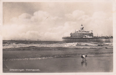 SCHEVENINGEN - Vlootbezoek