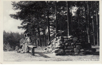 APELDOORN - Suikerberg Berg en Bosch