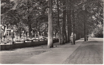 APELDOORN - Cafe-Restaurant de Prinses Juliantoren