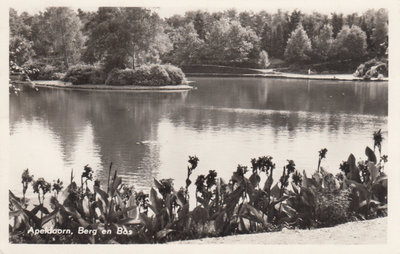 APELDOORN - Berg en Dal