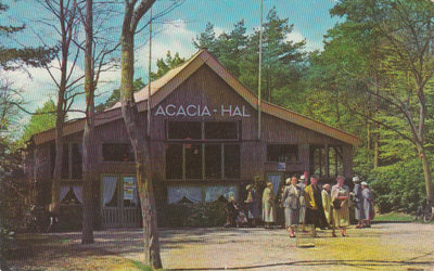 APELDOORN - Acacia Hal Berg en Bosch