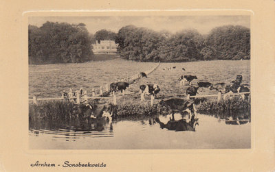 ARNHEM - Sonsbeekweide