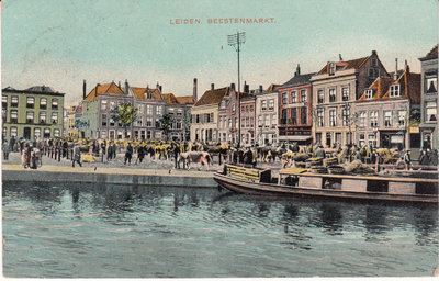 LEIDEN - Beestenmarkt