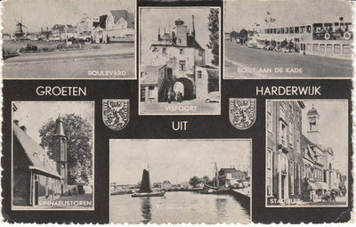 HARDERWIJK - Meerluik groeten uit Harderwijk