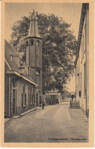 HARDERWIJK - Linnaeustoren