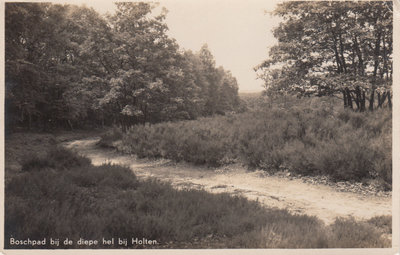 HOLTEN - Boschpad bij de diepe Hel