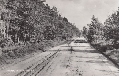 HOLTEN - In de Holterberg