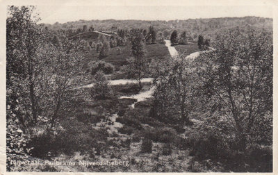 NIJVERDAL - Panorama Nijverdalseberg