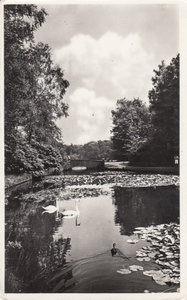 PARK HOGE VELUWE - Vijver bij Stenen Brug