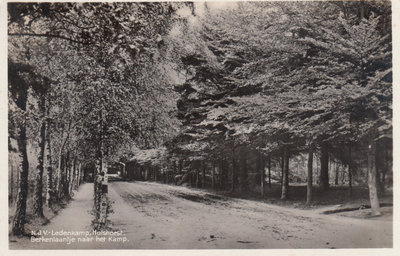 HULSHORST - N. J.V. Ledenkamp, Berkenlaantje naar het Kamp