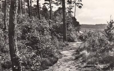 GROESBEEK - Bosgezicht