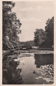 HOENDERLOO - HOGE VELUWE - Vijver bij Stenen brug