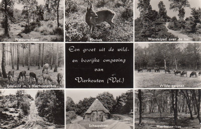 VIERHOUTEN - Meerluik Een Groet uit de Wild en Bosrijke omgeving van Vierhouten