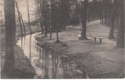 BENNEKOM - Beek langs den Keijenberg