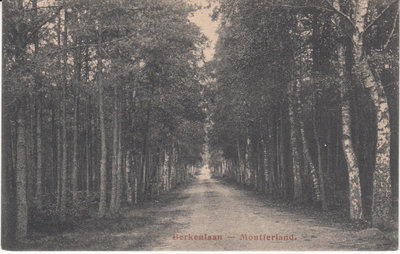 MONTFERLAND - Berkenlaan