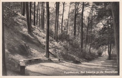 VOORTHUIZEN - Het Laantje in de Heuveltjes