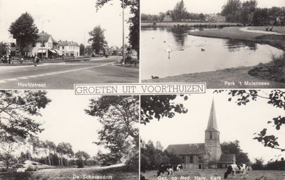 VOORTHUIZEN - Meerluik groeten uit Voorthuizen