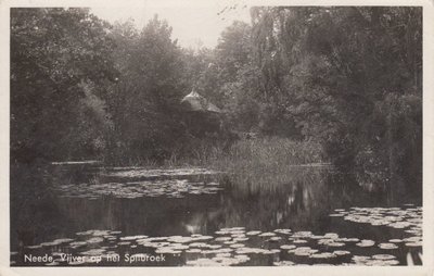 NEEDE - Vijver op het Spilbroek