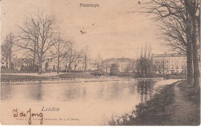 LEIDEN - Plantage