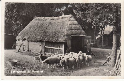 NUNSPEET - Schaapskooi bij Nunspeet