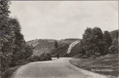 DE STEEG - Weg naar de Posbank