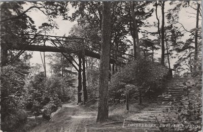 DRIEBERGEN - Zwitserse Brug