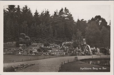 APELDOORN - Berg en Bos