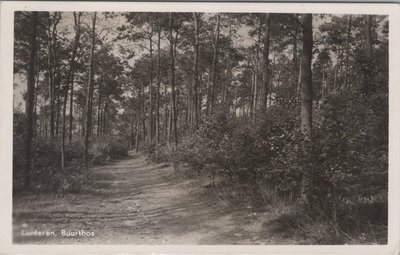 LUNTEREN - Buurtbos