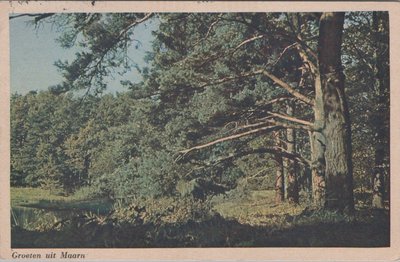 MAARN - Bosgezicht Groeten uit Maarn