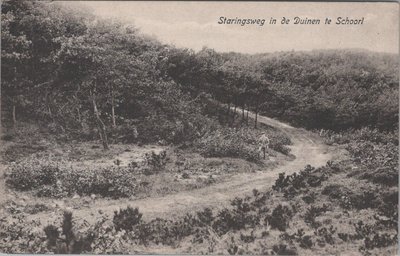 SCHOORL S- taringsweg in de Duinen