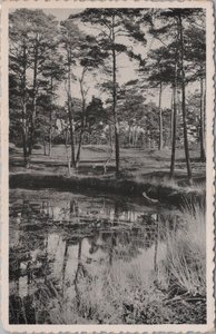 DRIEBERGEN - De Koekepan