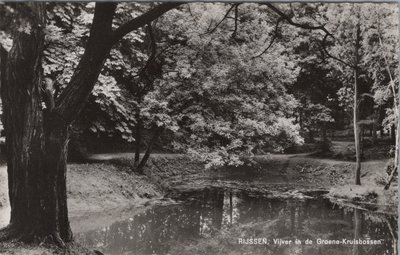 RIJSSEN - Vijver in de Groene-Kruisbossen