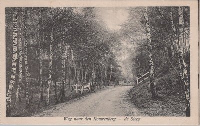 DE STEEG - Weg naar de Rouwenberg