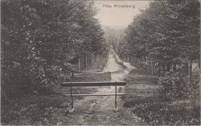 DE STEEG - Prins Willemberg