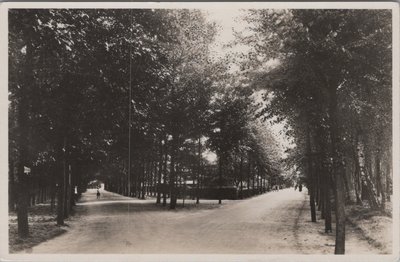 ERMELO - Tweesprong Horsterweg-Wilhelminalaan