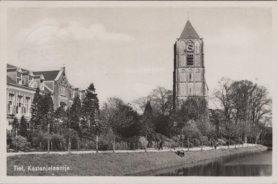 TIEL - Kastanjelaantje