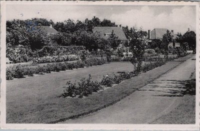 DRIEBERGEN - Rosarium