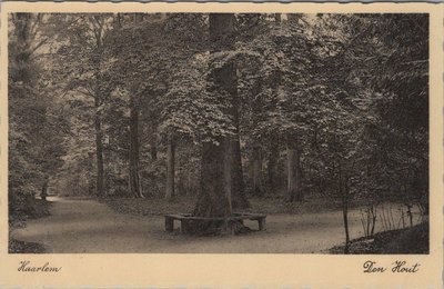 HAARLEM - Den Hout