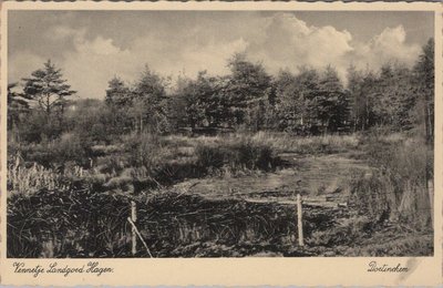 DOETINCHEM - Vennetje Landgoed Hagen