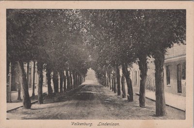 VALKENBURG - Lindenlaan