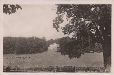 ARNHEM - Weide Sonsbeek