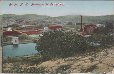 BERGEN N. H. - Panorama in de Duinen