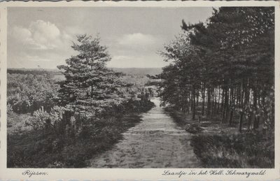 RIJSSEN - Laantje in het Holl. Schwargwald