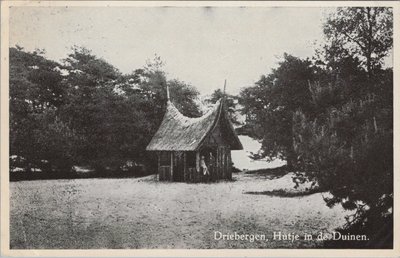 DRIEBERGEN - Hutje in de Duinen